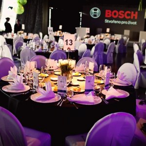 VIP Event - Bosch/ DANCE MAPPING SHOW